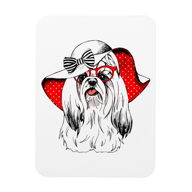 Íman Yorkie Fashion Shoot (Vertical)