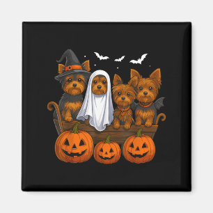 Íman Yorkie Halloween Engraçado Yorkshire Terrier Cacho