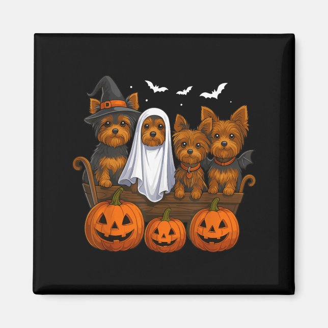 Íman Yorkie Halloween Engraçado Yorkshire Terrier Cacho (Frente)