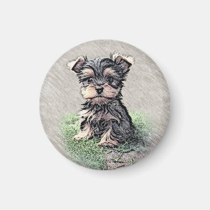 Íman Yorkie, pãozinho, animal de estimação