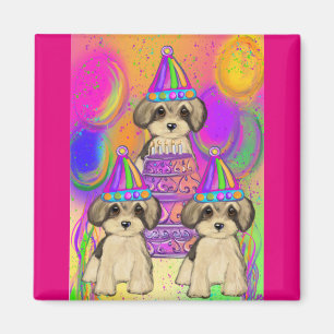 Íman Yorkie Poo