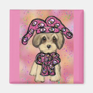Íman Yorkie Poo