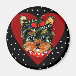Íman Yorkie Poo Fofo