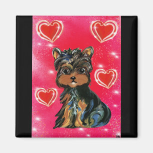 Íman Yorkie Poo no Dia de São Valentim
