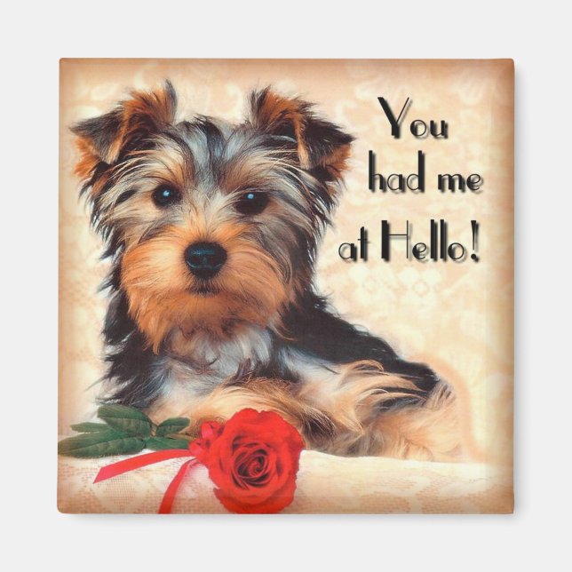 Íman Yorkie Puppy Magnet (Frente)