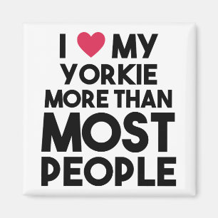 Íman Yorkie sobre pessoas