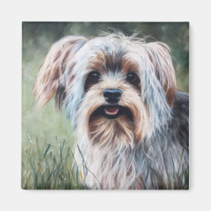 Íman Yorkie Yorkshire Terrier no verão