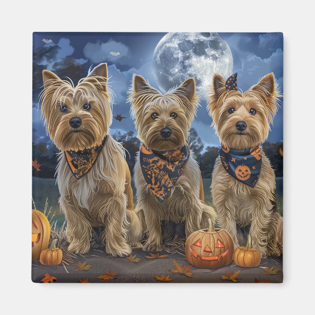 Íman Yorkipoo Halloween Assustador (Frente)