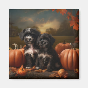 Íman Yorkipoo Puppy Autumn Delight Pumpkin