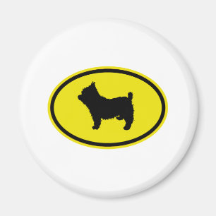 Íman Yorkshire terrier