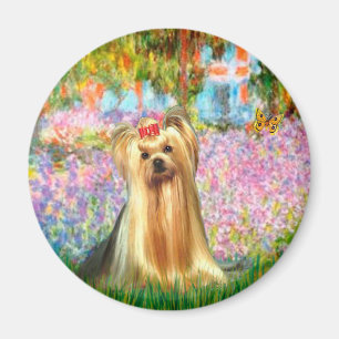 Íman Yorkshire Terrier 1 - Jardim