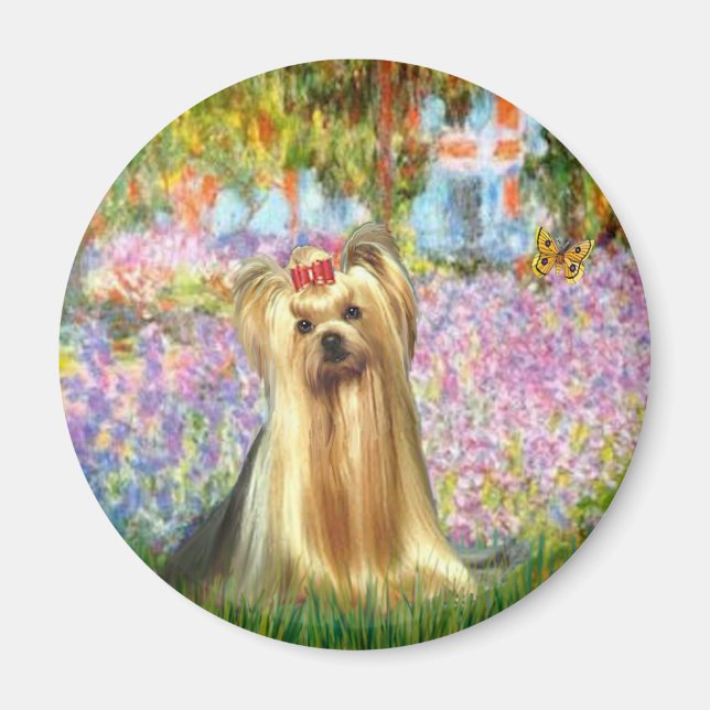 Íman Yorkshire Terrier 1 - Jardim (Frente)