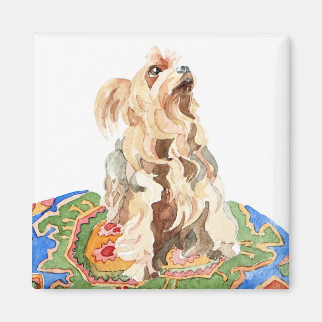 Íman Yorkshire terrier 2012 (Frente)