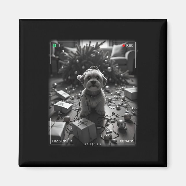 Íman Yorkshire Terrier de Natal Flagrou na Câmera  (Frente)