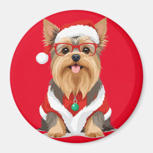 Íman Yorkshire Terrier em Papais noeis Costume Adorável
