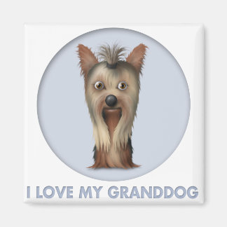 Íman Yorkshire Terrier Granddog