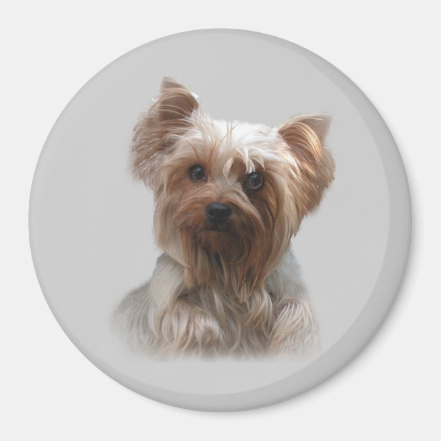 Íman Yorkshire Terrier Magnet (Frente)