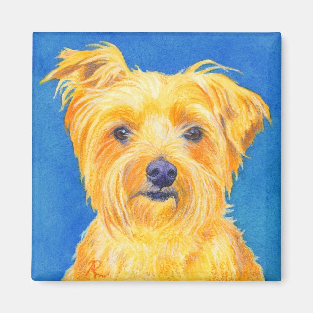 Íman Yorkshire Terrier Magnet - Sammy (Frente)