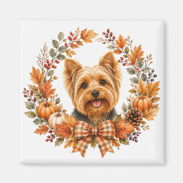 Íman Yorkshire Terrier Outono