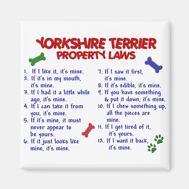 Íman YORKSHIRE TERRIER Property Laws 2 Yorkie (Frente)