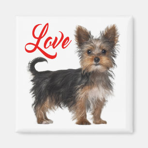 Íman Yorkshire Terrier Puppy Dog Red Love