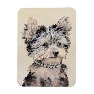 Íman Yorkshire Terrier Puppy Pintura Original