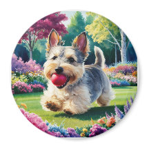 Yorshire Terrier Puppy Playing in the Park