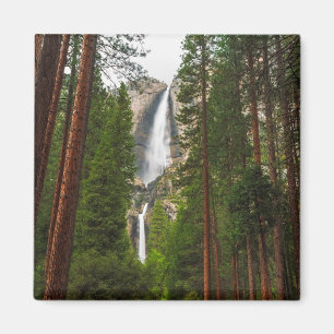 Íman Yosemite Falls através da Floresta