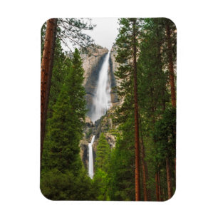 Íman Yosemite Falls através da Floresta