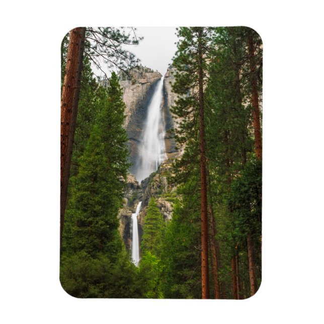Íman Yosemite Falls através da Floresta (Vertical)
