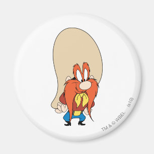 Íman Yosemite Sam anda com as Hips