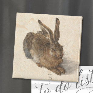 Íman Young Hare   Albrecht Dürer
