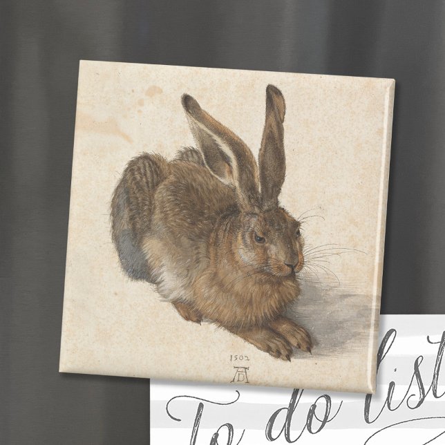 Íman Young Hare | Albrecht Dürer (Criador carregado)