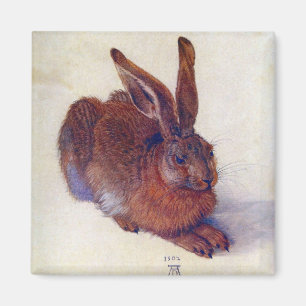 Íman Young Hare de Albrecht Durer, Renaissance Fine Art