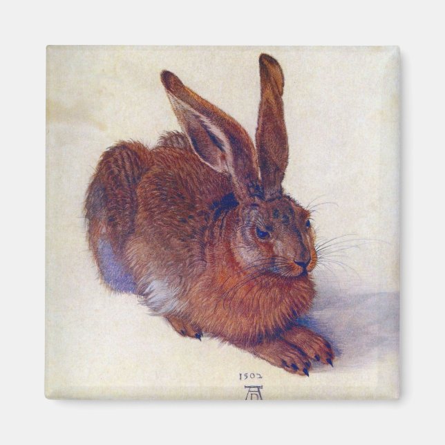 Íman Young Hare de Albrecht Durer, Renaissance Fine Art (Frente)