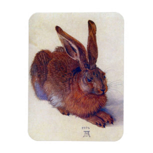 Íman Young Hare de Albrecht Durer, Renaissance Fine Art