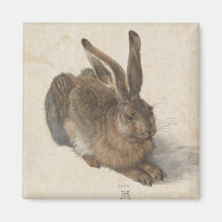 Íman Young Hare por Albrecht Durer