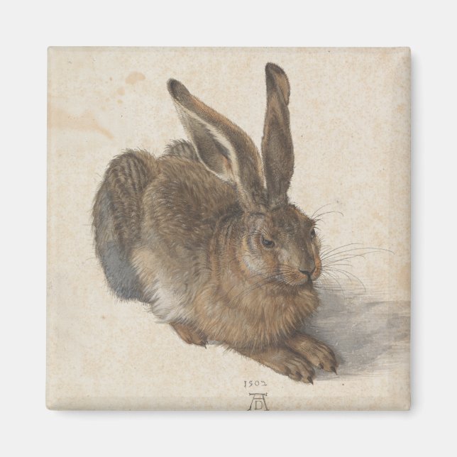 Íman Young Hare por Albrecht Durer (Frente)