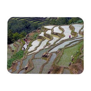 Íman Yuanyang Rice Terraces, Yunnan - China