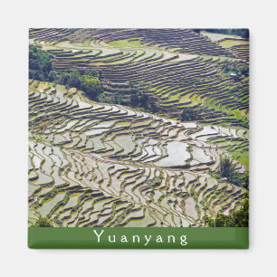 Íman Yuanyang Rice Terraces, Yunnan - China