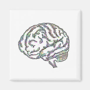 Íman Zany Brainy