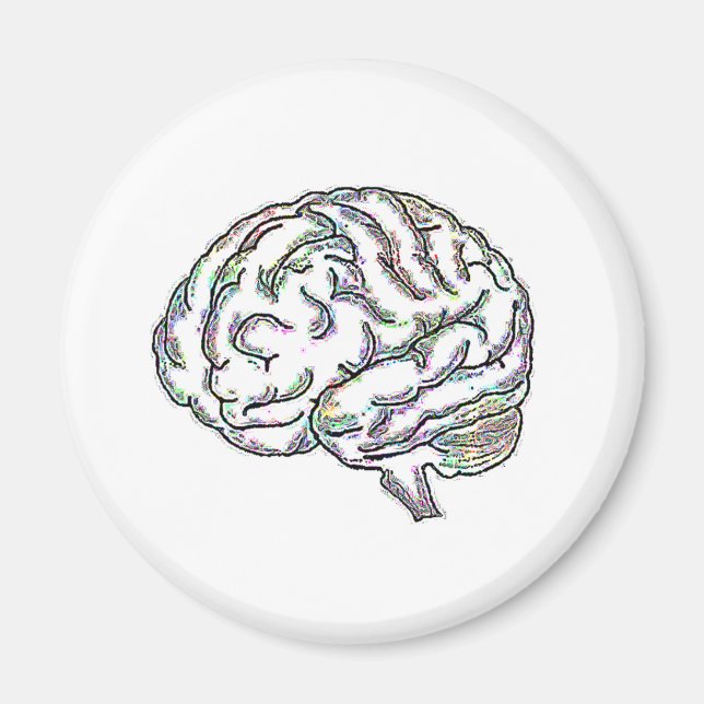 Íman Zany Brainy (Frente)