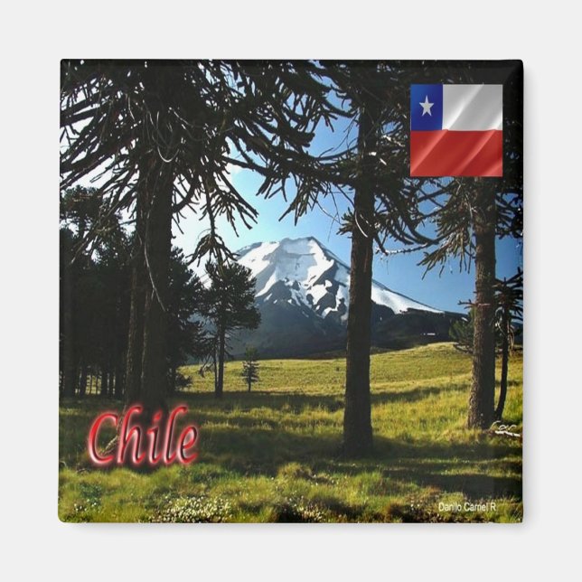 Íman zCL026 CHILE, Araucarias, Monumento Natural, Frigo (Frente)