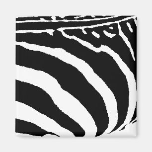 Íman zebra