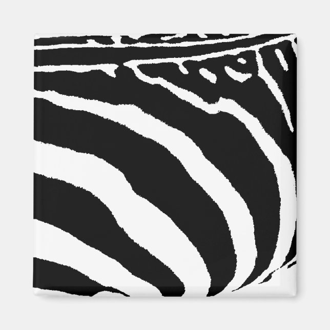 Íman zebra (Frente)