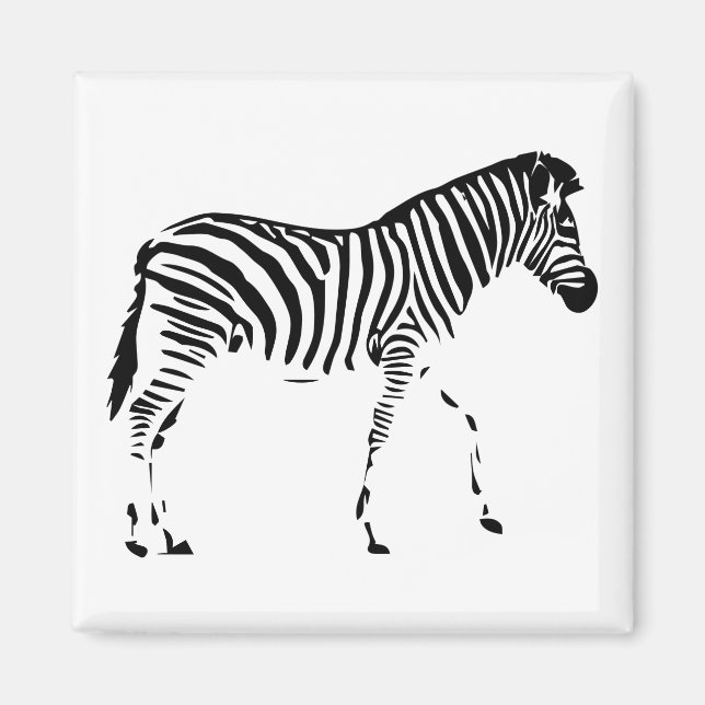 Íman Zebra (Frente)