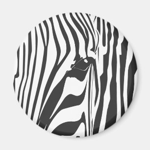 Íman Zebra!