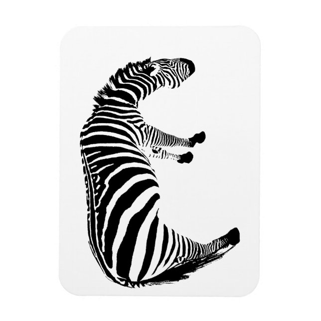 Íman zebra (Vertical)