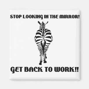 Íman zebra