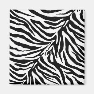 Íman zebra 1